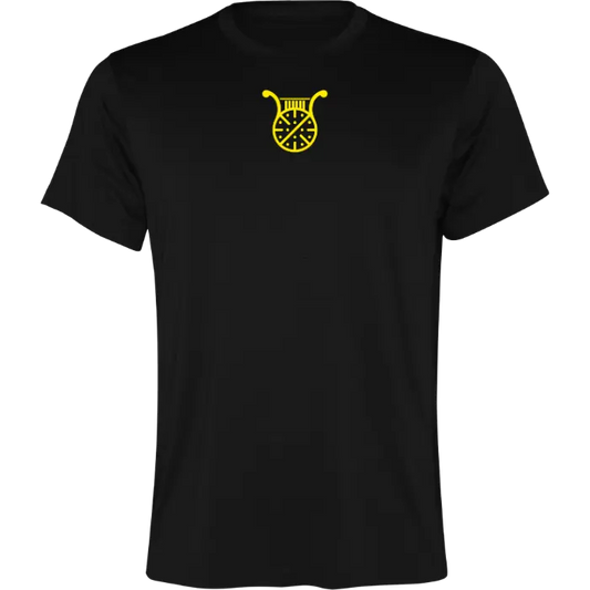 CAMISETA APOLO